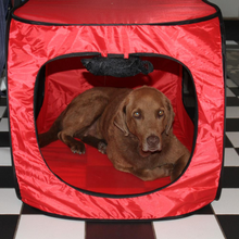 Portable Pop Up Dog Crate-X Large