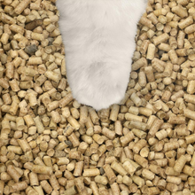 All Natural Pinewood Cat Litter
