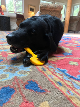 ID Shovel  Ultra Durable Nylon Dog Chew Toy for Aggressive Chewers - Yellow