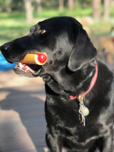 SP Hot Dog Ultra Durable Nylon Dog Chew Toy for Aggressive Chewers - Yellow/Red