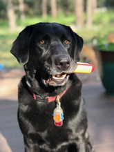 SP Hot Dog Ultra Durable Nylon Dog Chew Toy for Aggressive Chewers - Yellow/Red
