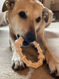 NEW! SP Honey Bone Chicken Flavored Teething Ring for Aggressive Chewers