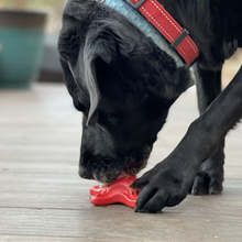 Starfish Ultra Durable Nylon Dog Chew Toy for Aggressive Chewers