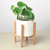 Cylinder Planter with Wood Stand - 5" Pot