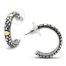 3W335 - Brass Earrings Reverse Two-Tone Women Epoxy Jet