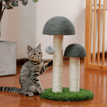 Mushroom Cat Scratching Post with Ball