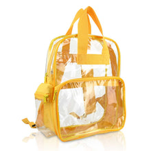 Large Clear Backpack