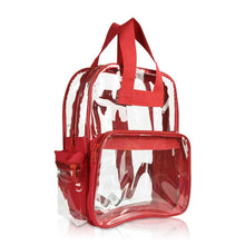 Large Clear Backpack