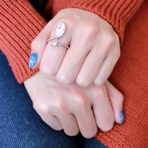 DA129 - Stainless Steel Ring High polished (no plating) Women AAA Grade CZ Clear