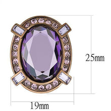 TK2571 - Stainless Steel Earrings IP Coffee light Women AAA Grade CZ Amethyst
