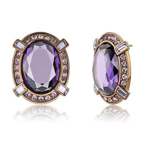 TK2571 - Stainless Steel Earrings IP Coffee light Women AAA Grade CZ Amethyst