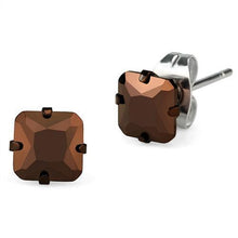 TK2584 - Stainless Steel Earrings Two Tone IP Light Brown (IP Light coffee) Women AAA Grade CZ Light Coffee
