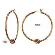 TK2853 - Stainless Steel Earrings IP Coffee light Women No Stone No Stone