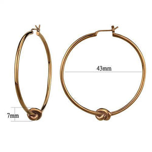 TK2853 - Stainless Steel Earrings IP Coffee light Women No Stone No Stone