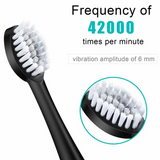 Rechargeable Sonic Electric Toothbrush Brush Heads Toothbrushes