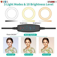 LED TIK Tok Ring Light with Tripod Stand Phone Holder Ringlight Stand for Makeup Tiktok Live Zoom Halo Light