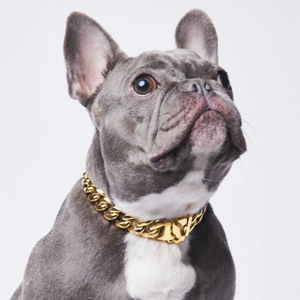 Cuban Link Chain Dog Collar - Gold