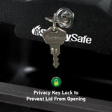 Half Hour Fireproof Key Lock Chest Safe by Sentry
